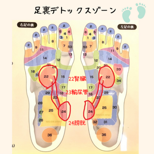 梅雨時期の不調対策～体の水はけを良くする！～